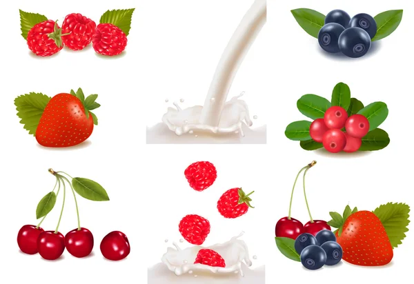 Milk shake Vector Art Stock Images | Depositphotos