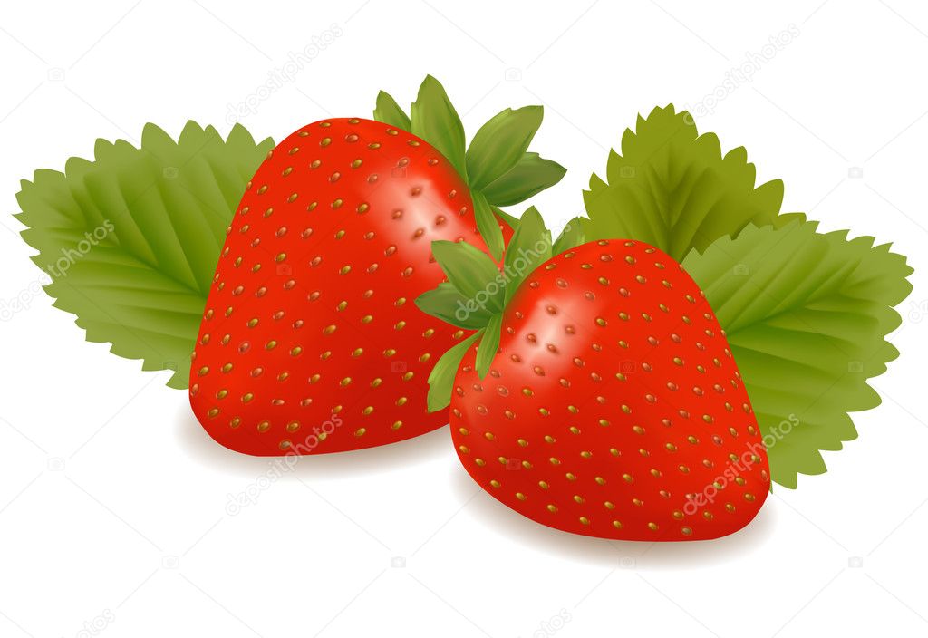 Two strawberries with leaves. Vector.