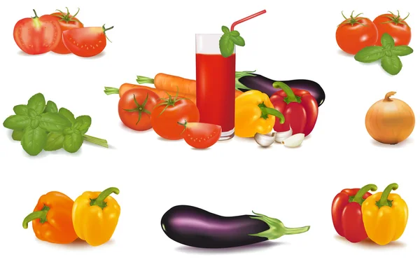 Den stora färgglada gruppen av grönsaker. fotorealistisk vektor. — Stock vektor
