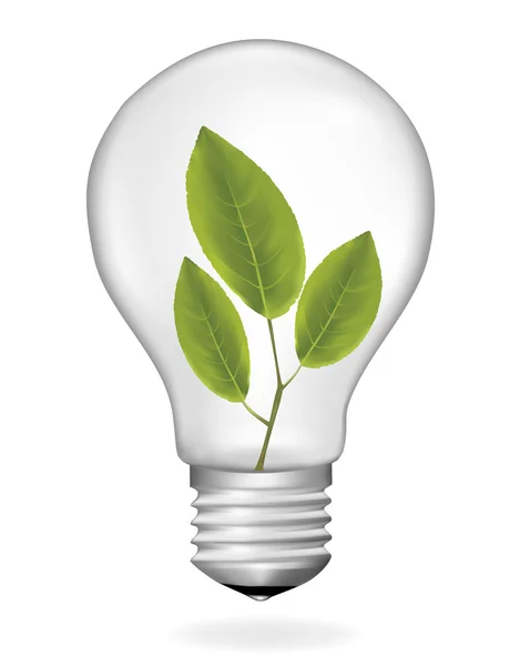 Plant inside light bulb. Vector illustration. — Stock Vector