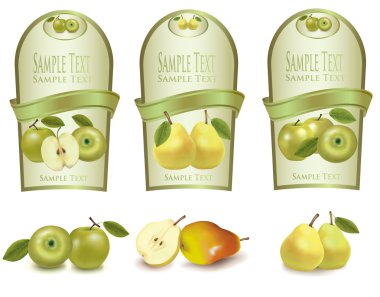 Three green labels with different sorts of fruit. Vector. clipart