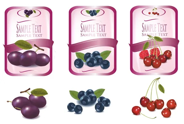 Etiquetas con diferentes tipos de frutas. Vector . — Vector de stock