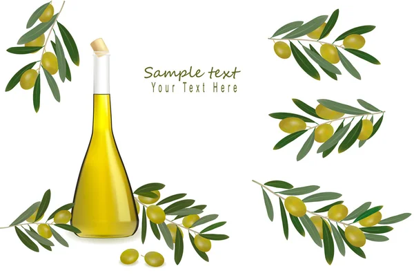 Botella de aceite de oliva con aceitunas y especias. Vector . — Archivo Imágenes Vectoriales