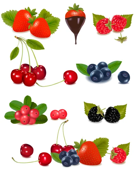 集团的浆果和樱桃. — 图库矢量图片