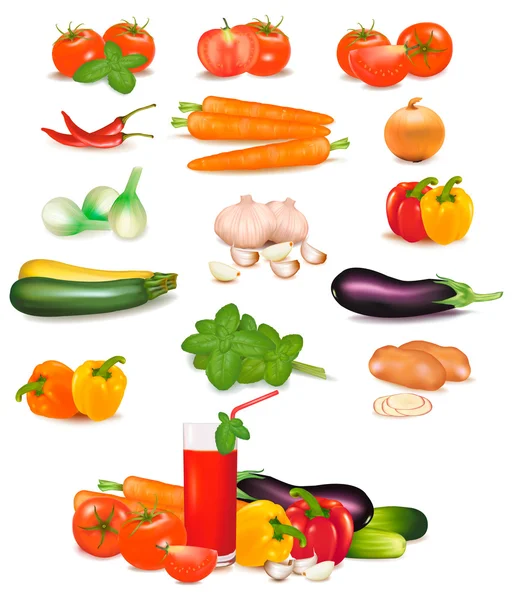 El gran grupo colorido de verduras. Foto-realista vector . — Archivo Imágenes Vectoriales