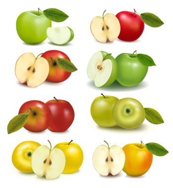 Set of red and green apple fruits with cut and green leaves. Vector illustr