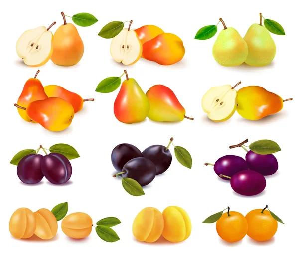 Grupp med olika sorters frukt. vektor. — Stock vektor