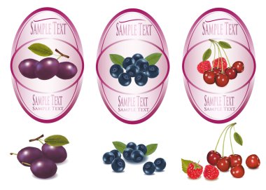 Three pink labels with different sorts of fruit. Vector. clipart