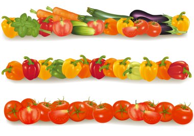 Vegetable design borders isolated on white. Vector. clipart