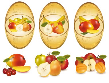 Three labels with different sorts of fruit. Vector. clipart