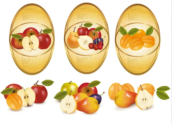 Três rótulos com diferentes tipos de frutas. Vetor . — Vetor de Stock