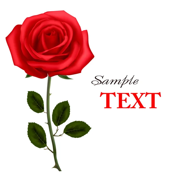 Schöne rote Rose mit einer Verbeugung. Vektorillustration. — Stockvektor