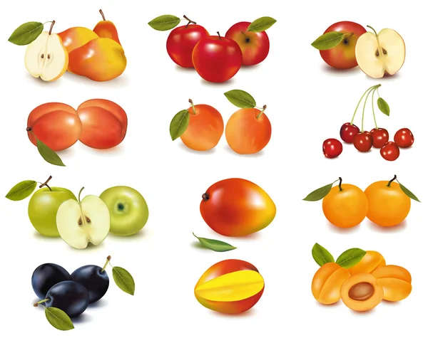 Gruppo con diversi tipi di frutta. Vettore . — Vettoriale Stock