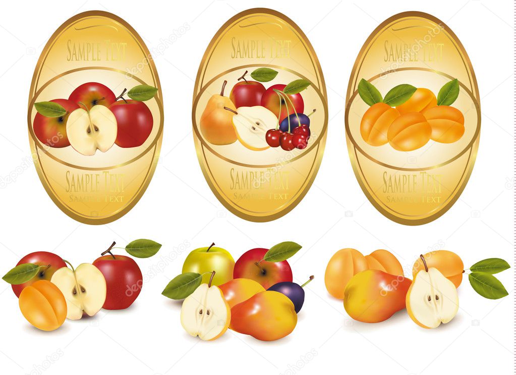 Three labels with different sorts of fruit. Vector.