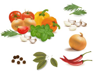 Spice collection isolated on white background. Vector. clipart