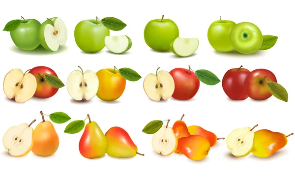 Conjunto de frutas rojas y verdes de manzana con corte y peras. Ilustración vectorial . — Archivo Imágenes Vectoriales