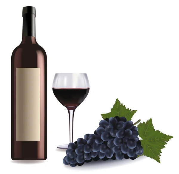 Bir şişe şarap ve bir kadeh şarap ve üzüm. vektör. — Stok Vektör