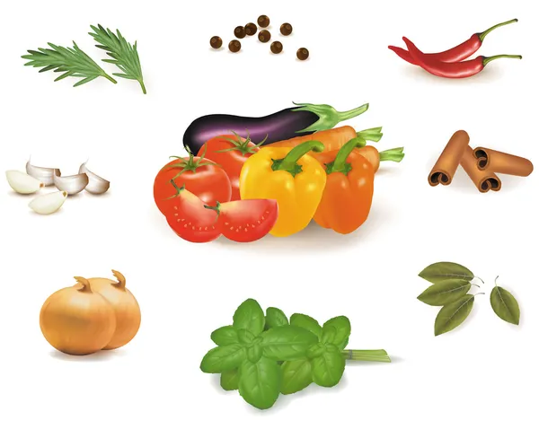 Ensemble avec des épices et des légumes. Illustration vectorielle . — Image vectorielle