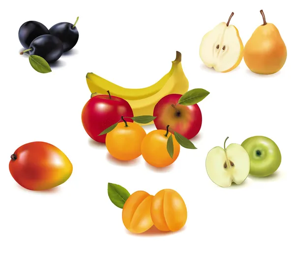 Fotorealistische Vektorillustration. große Gruppe von verschiedenen Früchten. — Stockvektor