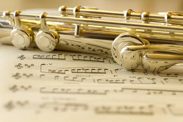 Золотая флейта — стоковое фото