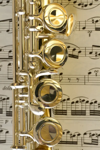 Teclas de flauta — Fotografia de Stock