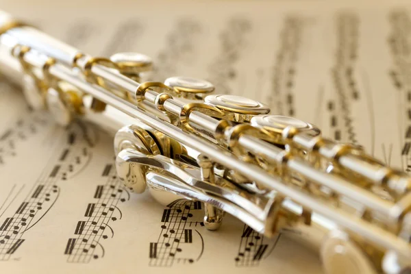 Flétnu a hudba — Stock fotografie