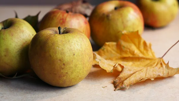 Autumn apples — Stock Photo, Image