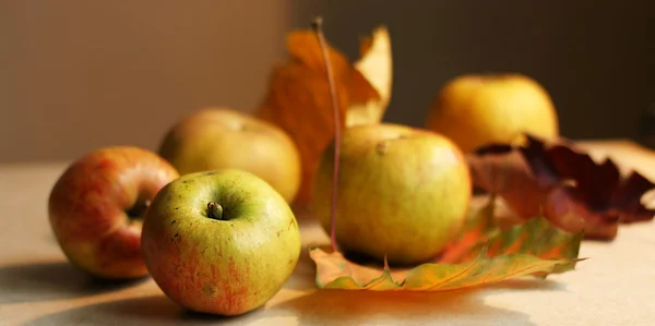 Осінній яблука — стокове фото