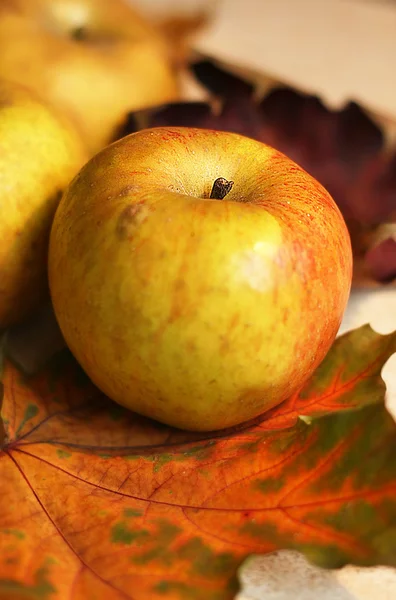 Manzanas de otoño — Foto de Stock