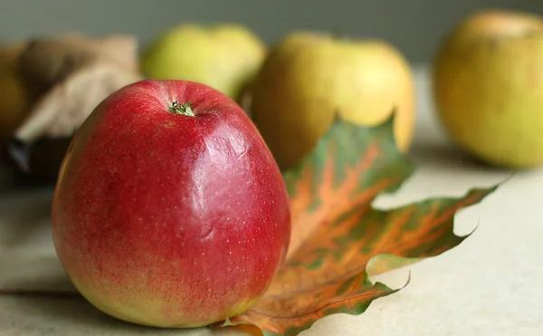 Herfst appels — Stockfoto