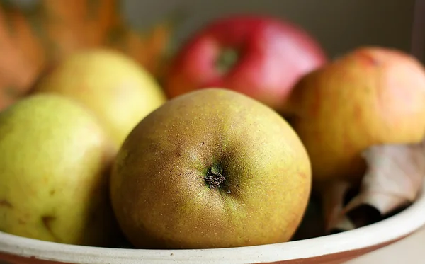 Sonbahar elma — Stok fotoğraf