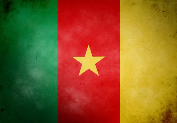 Cameroon Grunge Flag — Stock Photo, Image