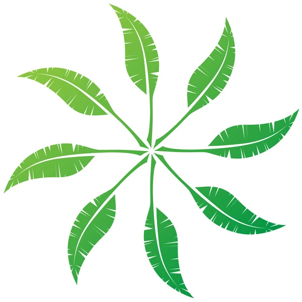 Design emblema piuma — Vettoriale Stock