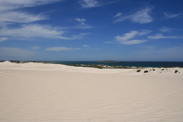 stock image Sandy beach