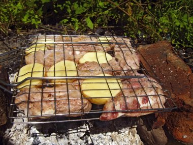 Barbekü şenlik üzerinde