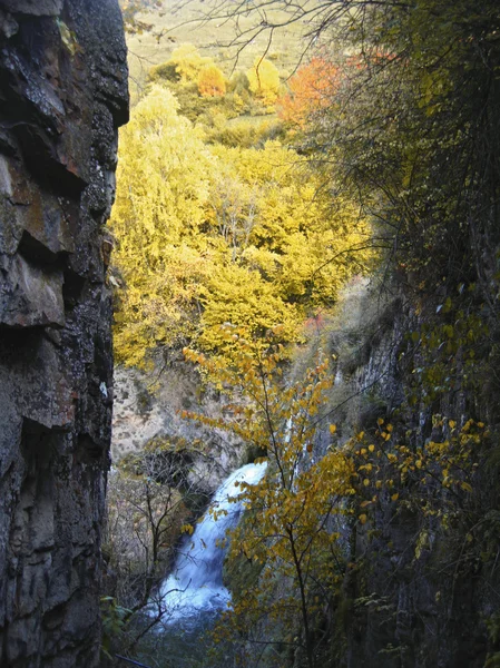 Cascades de miel et automne. Les Caucas du Nord. — Photo