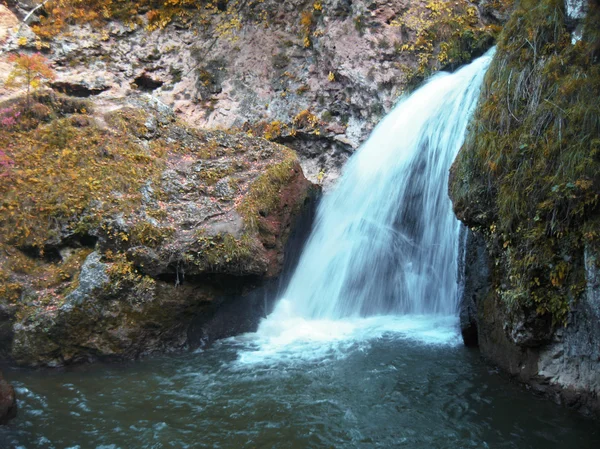 Cachoeiras de mel e outono. O Norte de Caucas. — Fotografia de Stock