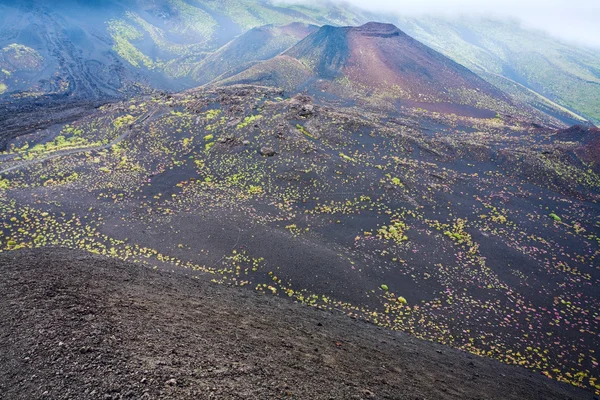 Vista sobre as crateras Etna, Sicília — Fotografia de Stock