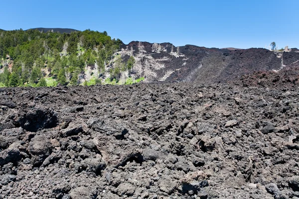 Hardened lava flow on volcano slope of Etna, Sicily — Stock Photo, Image