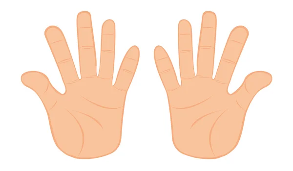 Руки — стоковый вектор