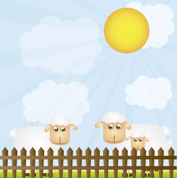 Sheeps — Stockvector