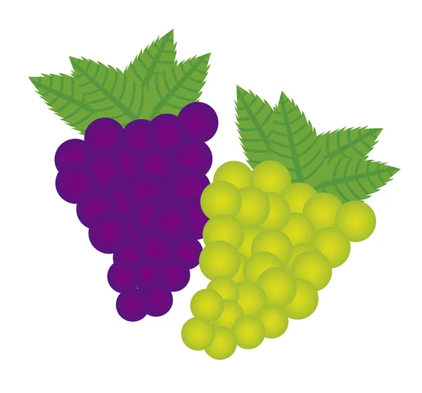 Vector de uva — Vector de stock