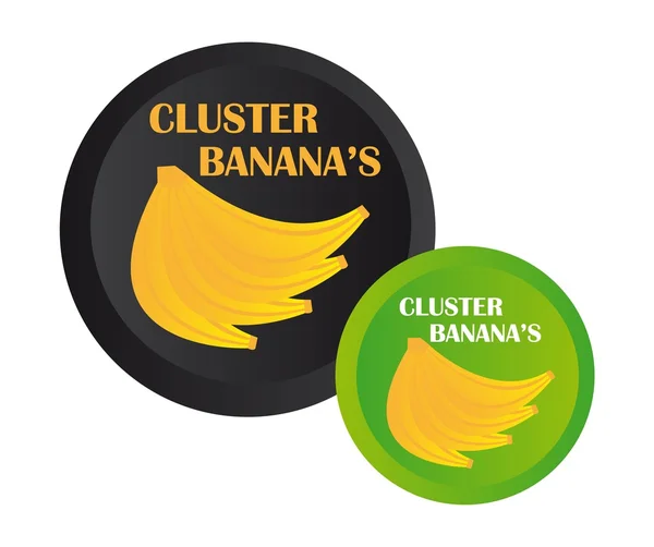 Cluster bananas — Stock Vector