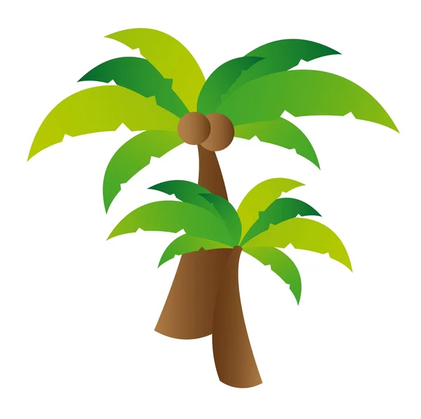 Palm tree vector — Stock Vector