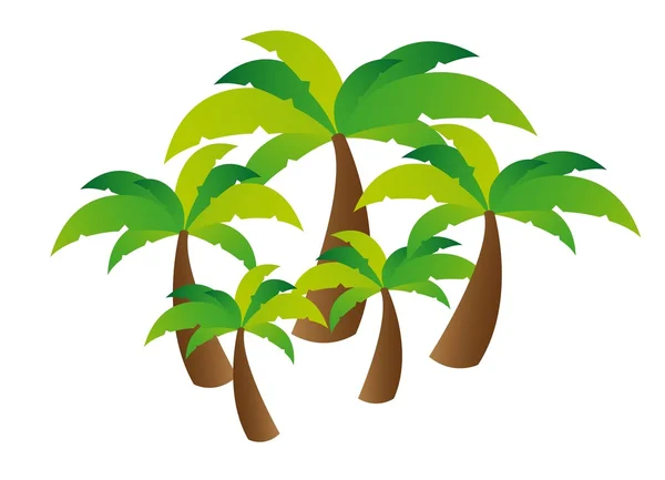 Palm träd vektor — Stock vektor