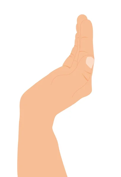 Hand holding — Stock Vector