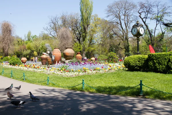 stock image Bucharest parks and gardens, Cismigiu
