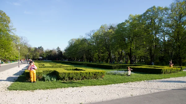 布加勒斯特的公园和花园，cismigiu — 图库照片