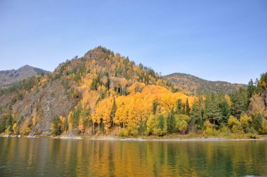 Autumn landscape with river clipart