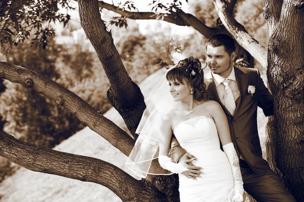 Szczęśliwe i piękne nowożeńcy — Zdjęcie stockowe